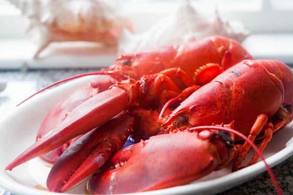 Lobster